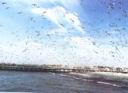 Muelle_de_Chimbote.JPG