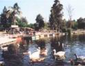 Vivero_Laguna.JPG
