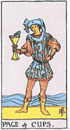 zota de copa