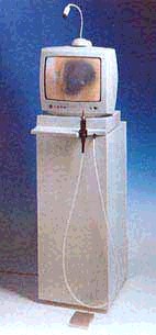 ecograf1.gif (8932 bytes)