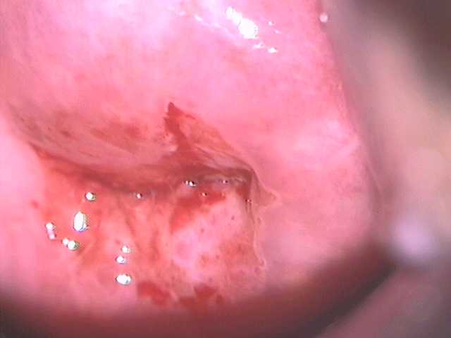 Imagen01.jpg (14878 bytes)