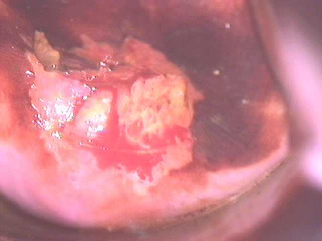 Imagen04.jpg (17676 bytes)