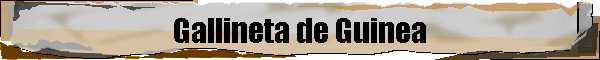 Gallineta de Guinea