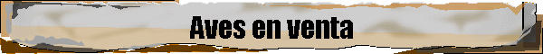 Aves en venta