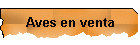 Aves en venta