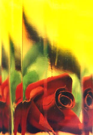 Rosa