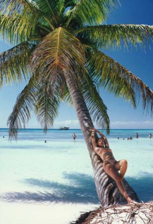 Saona