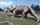 Dinosaurio
