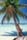 Saona
