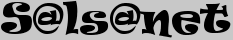 S@ls@net