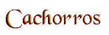 cachorros