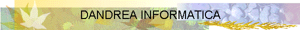 DANDREA INFORMATICA