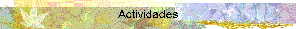 Actividades