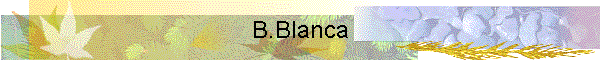 B.Blanca