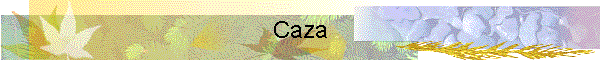 Caza