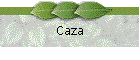 Caza