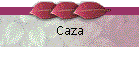 Caza