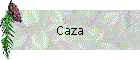 Caza