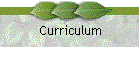Curriculum