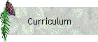 Curriculum