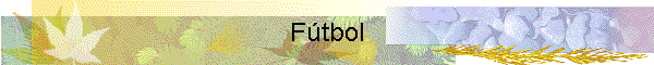 F�tbol