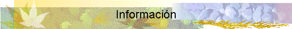 Informacin