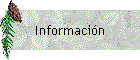 Informacin