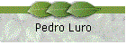 Pedro Luro