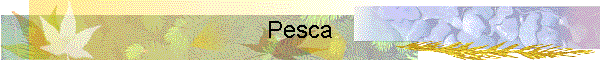 Pesca