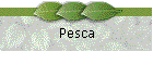 Pesca