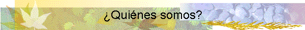 Quines somos?