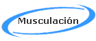 Musculacin