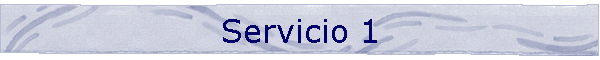 Servicio 1