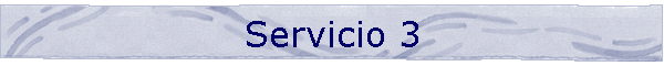 Servicio 3