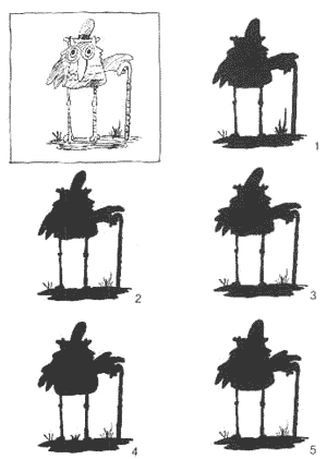 pajarraco - juego de las sombras
