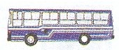 Colectivo 41