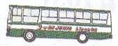 Colectivo 99