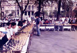 051.jpg (85793 bytes)