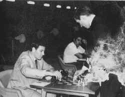 071.jpg (69893 bytes)