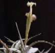 Interpretacion Patrimonial