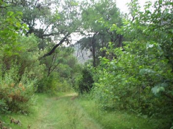 Ingreso a la Quebrada de las Higueritas