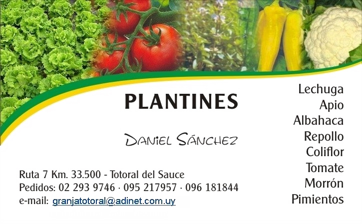 Granja Totoral, Plantines