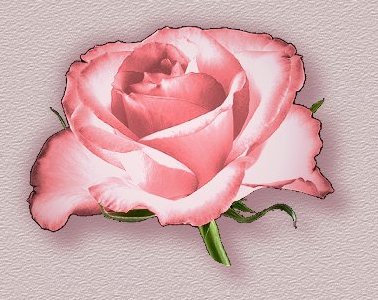 Poemas desde el Alma