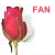 amo las rosas
