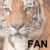 Tigres de Bengala