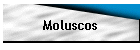 Moluscos
