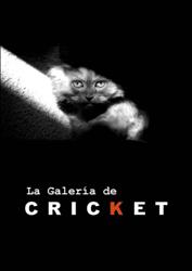 Bar Galeria Cricket, Exposiciones de Arte y venta de Obra Original