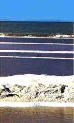 Las Salinas de Manaure