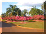 Plazoleta del monumento al Doctor Allasia-(47kb) clic para ampliar