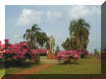 Monumento al Doctor Allasia-- Clic para ampliar
